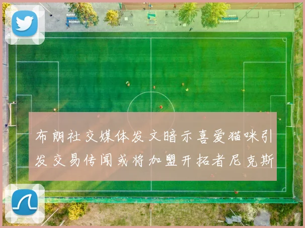 布朗社交媒体发文暗示喜爱猫咪引发交易传闻或将加盟开拓者尼克斯雷霆湖人
