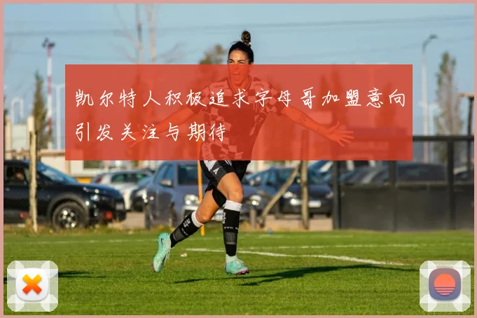 凯尔特人积极追求字母哥加盟意向引发关注与期待