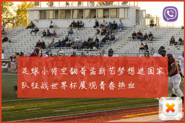 足球小将空翻哥孟新艺梦想进国家队征战世界杯展现青春热血